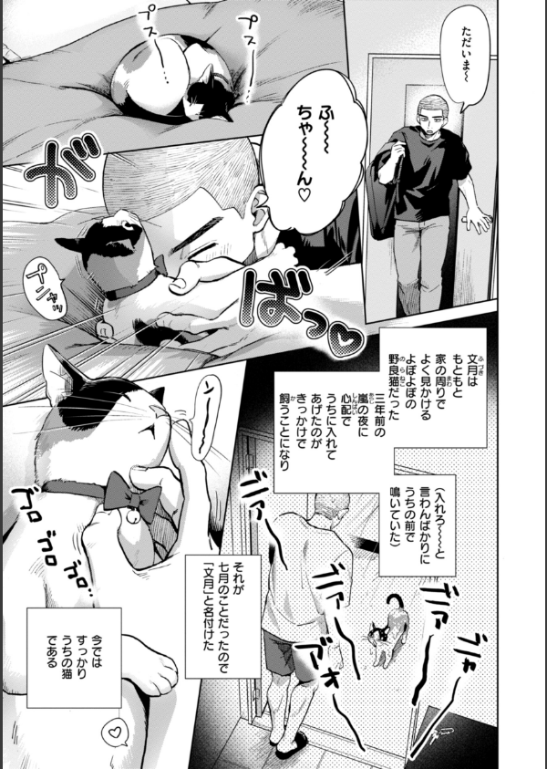 めちゃくちゃになろうよ_35枚目の画像