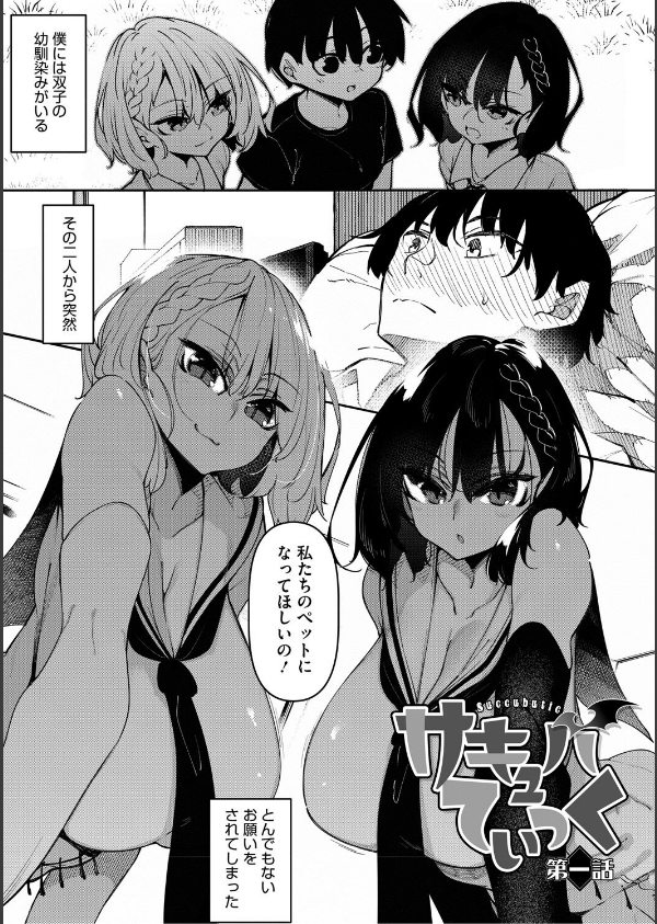 サキュバてぃっく【単行本】_3枚目の画像