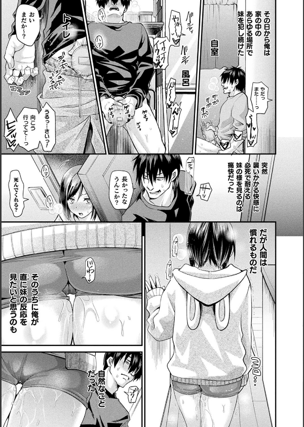 乙女淫乱化計画_45枚目の画像