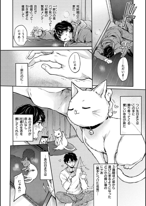 夢現ロマンティック_22枚目の画像