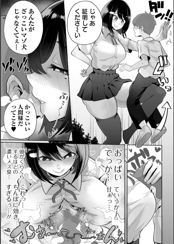 ザコマゾ・ホイホイ_5枚目の画像