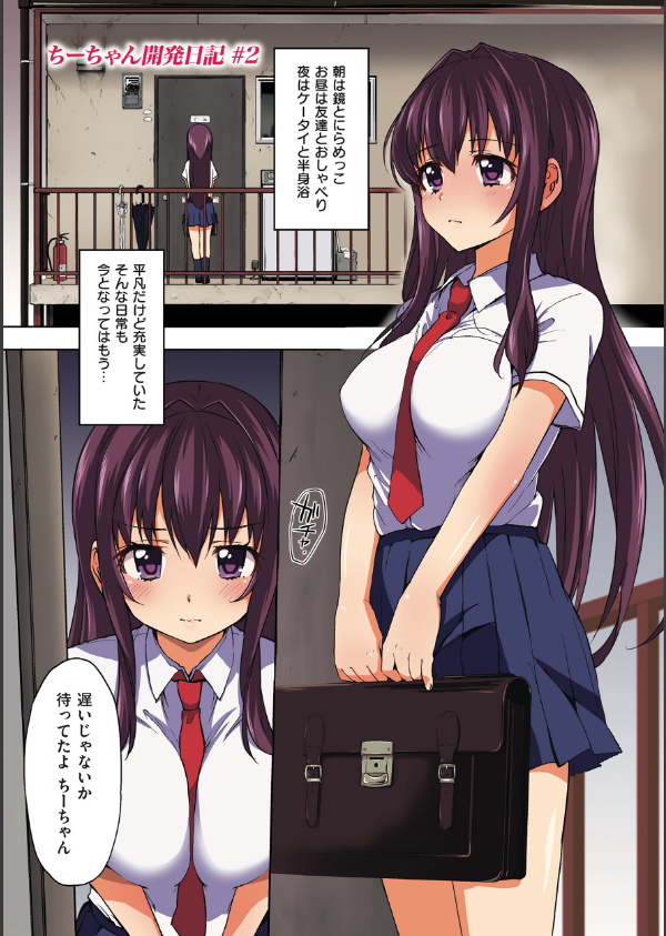 ちーちゃん開発日記【デジタル特装版】_12枚目の画像