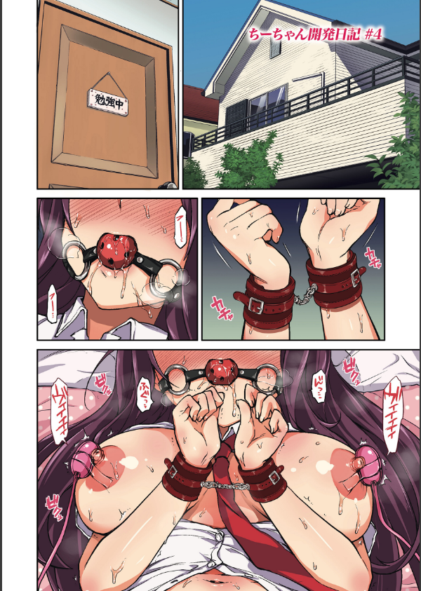 ちーちゃん開発日記【通常版】_36枚目の画像