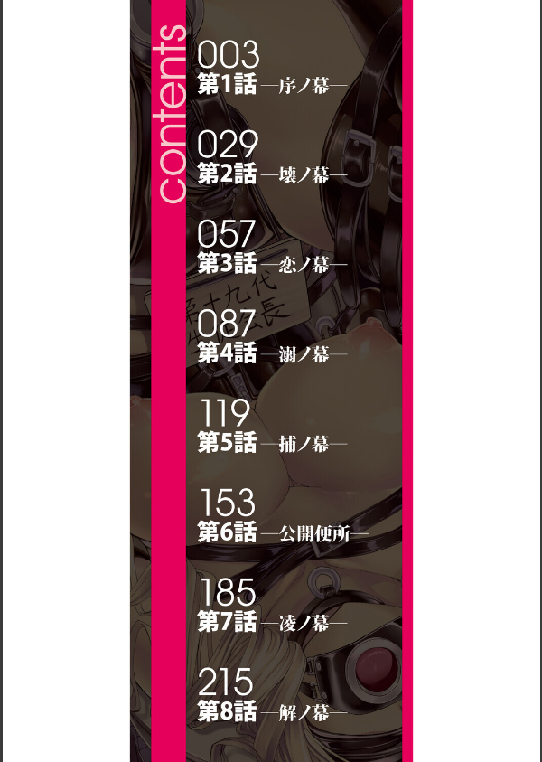 公開便所【ハイグレード版】_2枚目の画像