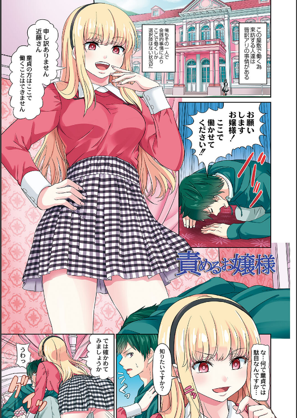 ざ・ふぃめーる・どみねーしょん【デジタル特装版】_3枚目の画像