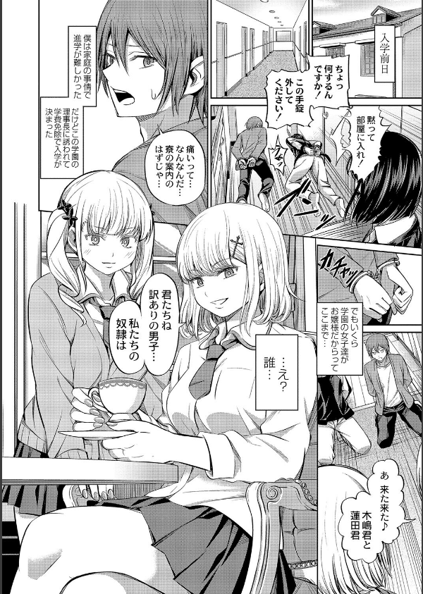 ざ・ふぃめーる・どみねーしょん【デジタル特装版】_6枚目の画像