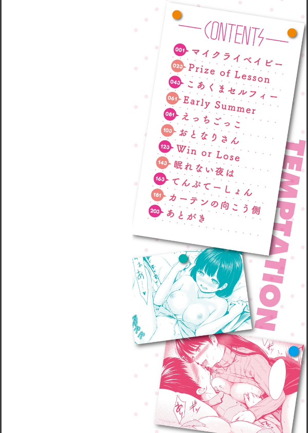 てんぷてーしょん_2枚目の画像