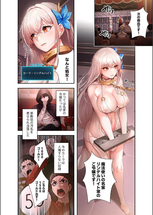 没落令嬢ですが、あなたにご奉仕させてください！【デジタル特装版】【FANZA限定版】_4枚目の画像